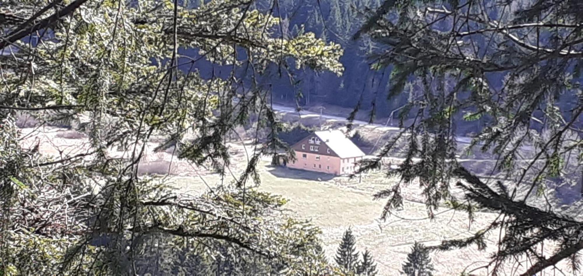 Hotel Des Hauts Viaux La Bresse