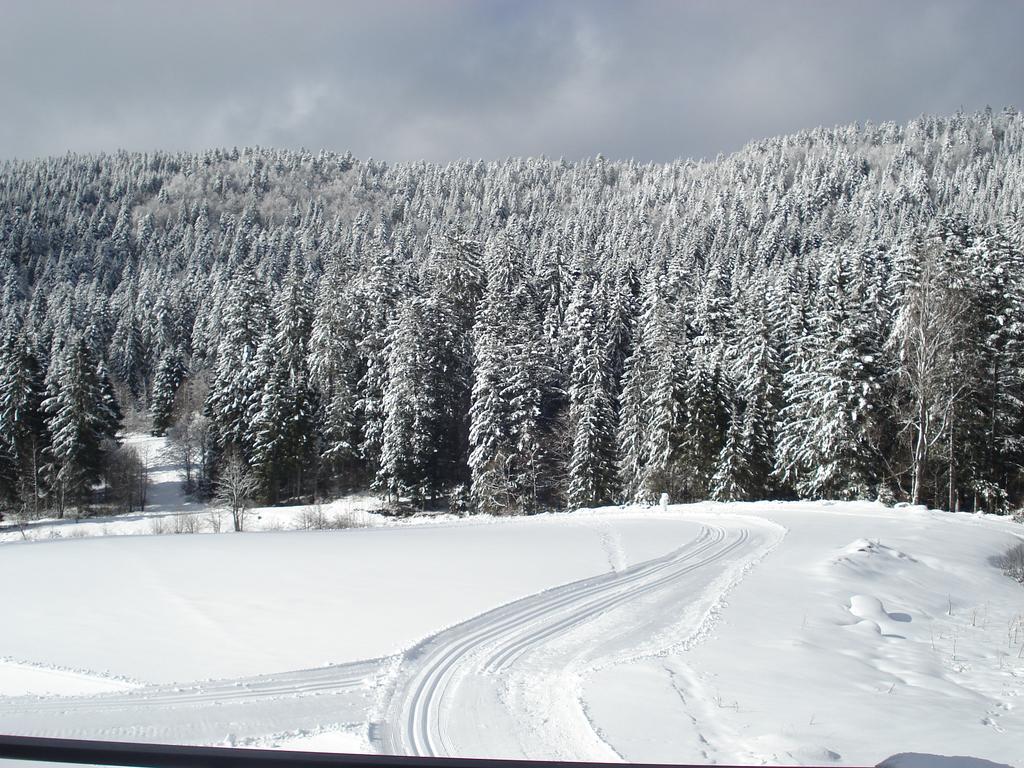 Hotel Des Hauts Viaux La Bresse