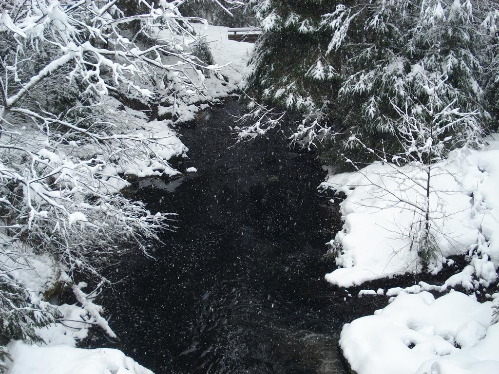 Hotel Des Hauts Viaux *