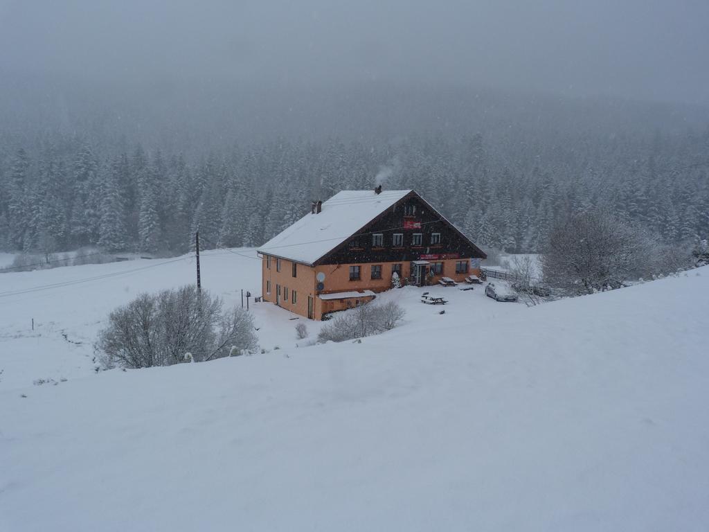 Des Hauts Viaux