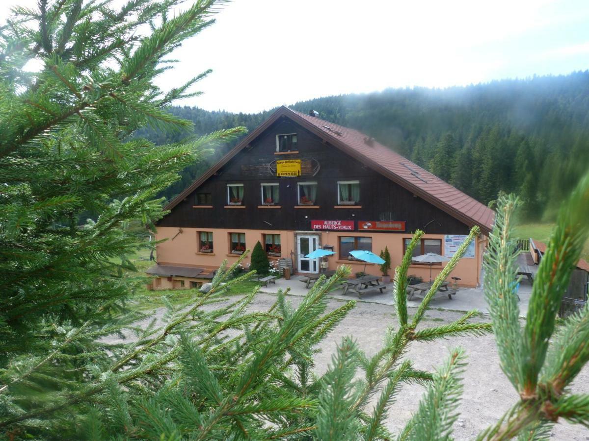 Des Hauts Viaux