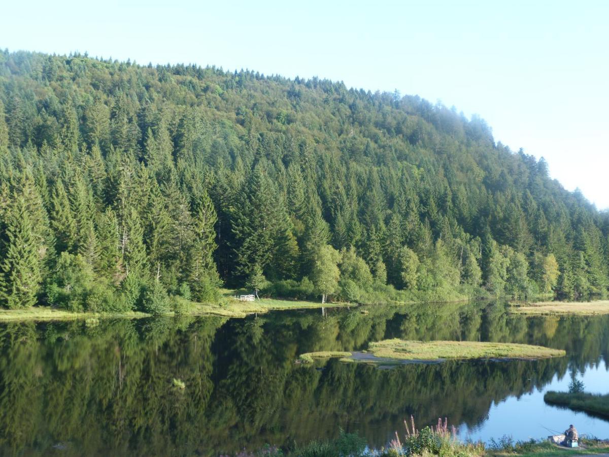 Domaine Des Hauts Viaux